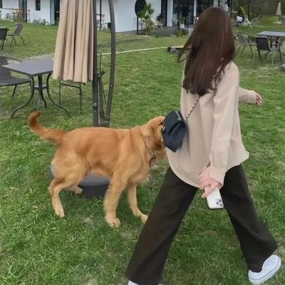 胭脂似火